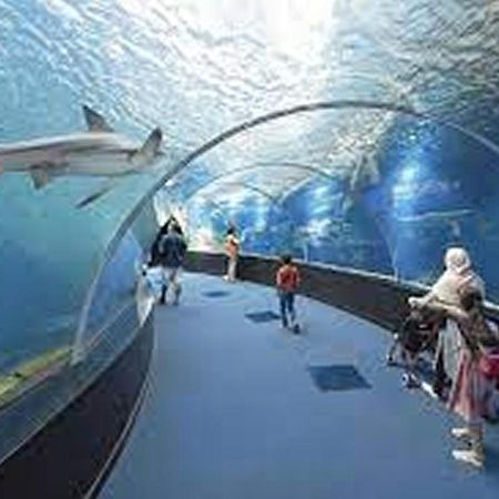 La Maison Du Pecheur Boulogne Sur Mer Centre 볼로뉴쉬르메르 외부 사진
